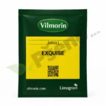 salata batavia exquise vilmorin