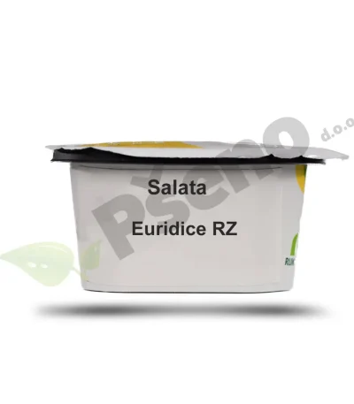 Salata Euridice Rijk Zwaan_Pseno