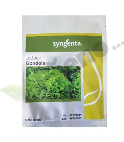 Salata-GONDOLA-Syngenta