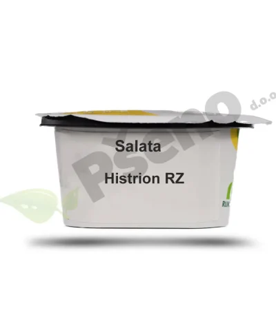 Salata HISTRION Rijk Zwaan_Pseno