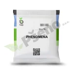 Salata Phenomena Bejo Zaden_Pseno