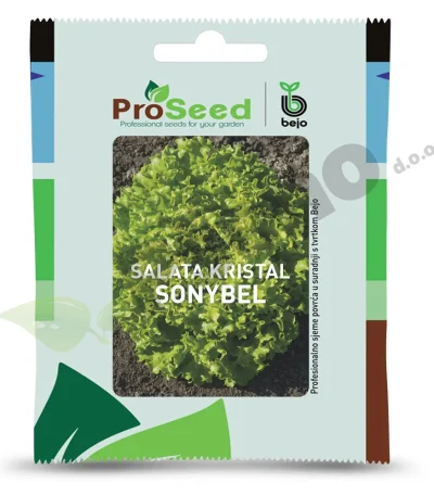 Salata SONYBEL Proseed Bejo Zaden_Pseno