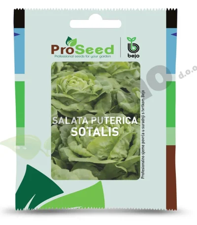 Salata SOTALIS Proseed Bejo Zaden_Pseno