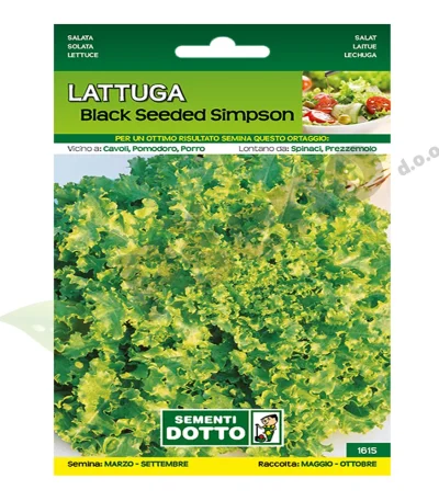 Salata kristalka BLACK SEED SIMPSON SDD