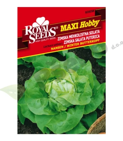 Salata-puterica-NANSEN-Royal-Seeds-Pseno