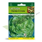 Salata puterica PARELLA