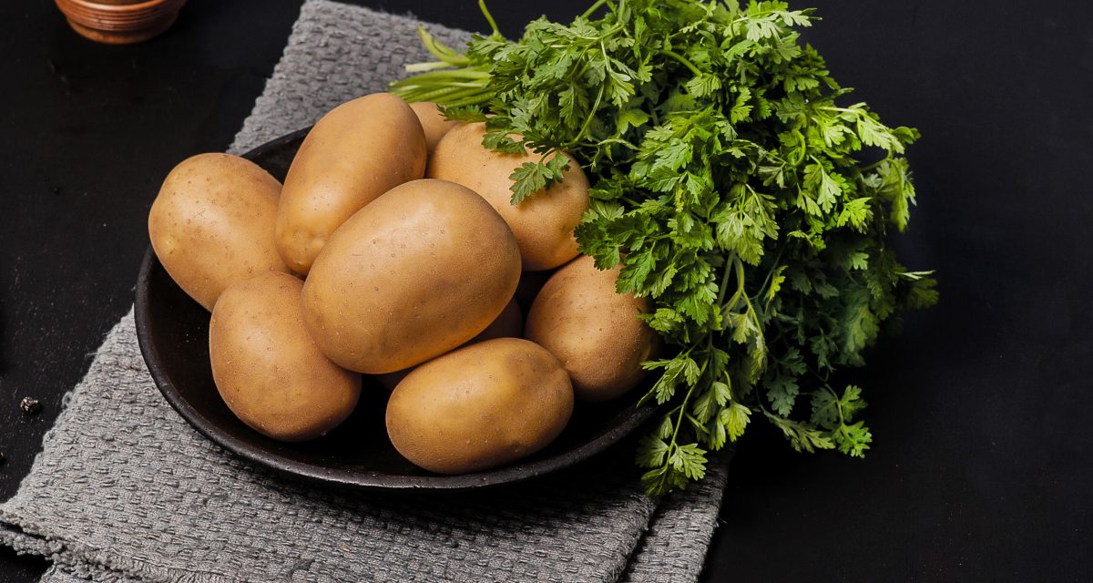 Sjemenski krumpir EMILIANA
