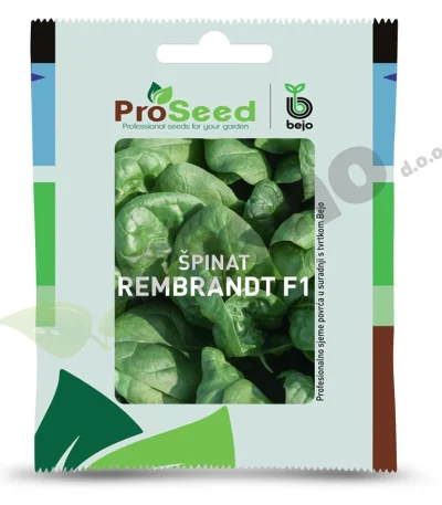 Spinat REMBRANDT F1 Proseed Bejo Zaden_Pseno