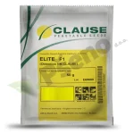 TIkvice-ELITE-F1_Clause_Pseno