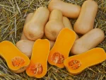 Bundeva-butternut