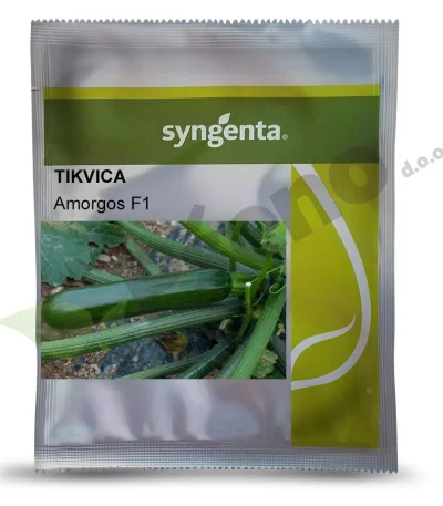 Tikvica AMORGOS F1 Syngenta_Pseno