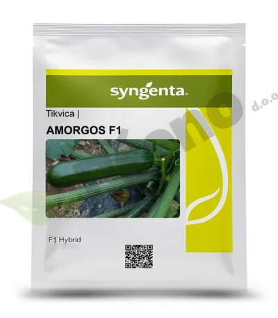 Tikvica AMORGOS F1 Syngenta_Pseno