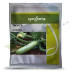 Tikvica CORDELIA F1 Syngenta_Pseno