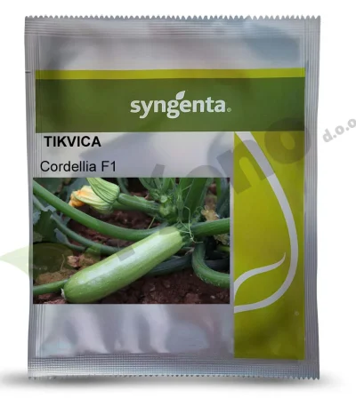 Tikvica CORDELIA F1 Syngenta_Pseno