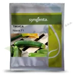 Tikvica NAXOS F1 Syngenta_Pseno
