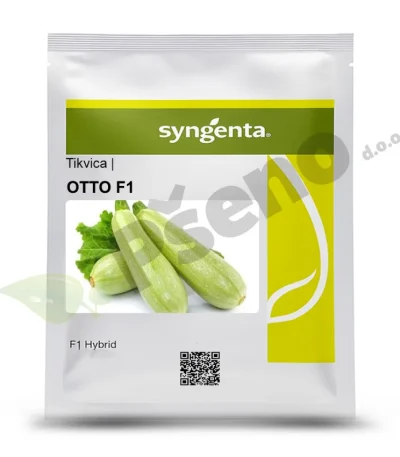 Tikvica OTTO F1 Syngenta_Pseno