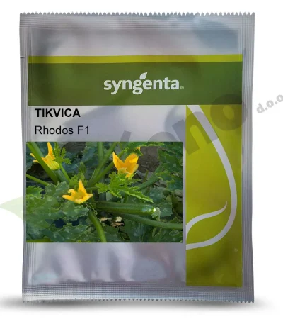 Tikvica RHODOS F1 Syngenta_Pseno