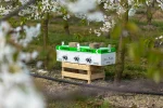 Bumbari Natupol TRIPOL