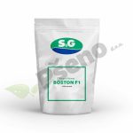 Kukuruz šećerac BOSTON F1