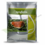 lubenica constellation f1 syngenta