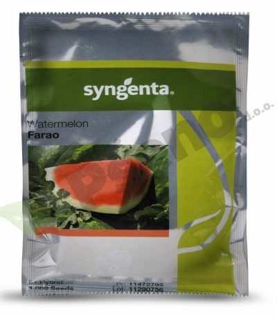 lubenica farao f1 syngenta