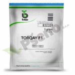 rajcica-torquay-F1-bejo