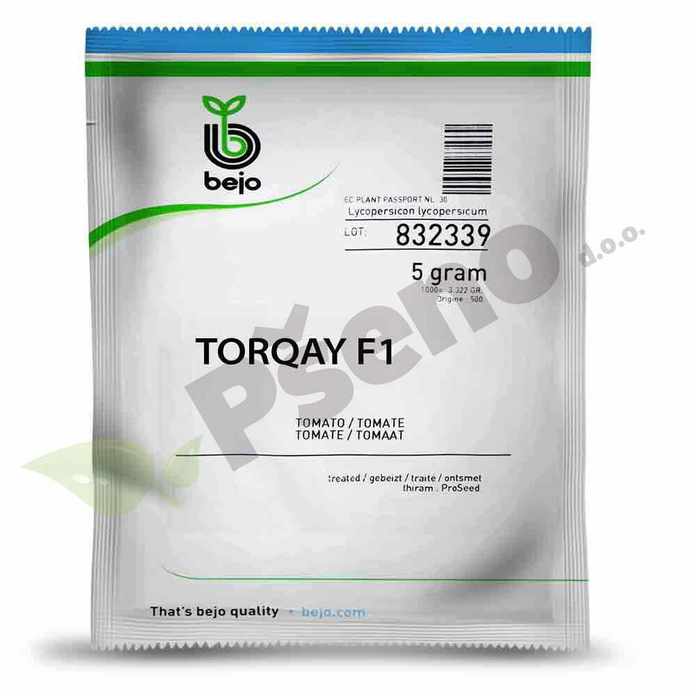 rajcica-torquay-F1-bejo