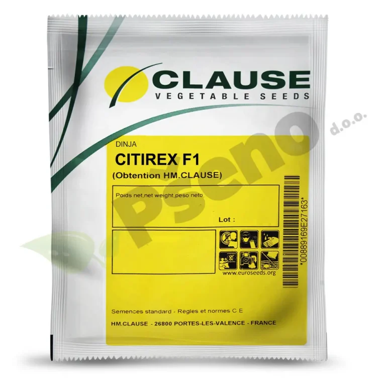 Dinja CITIREX F1