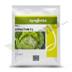 Kelj ATRACTUM F1