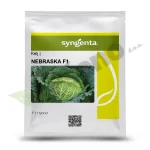Kelj NEBRASKA F1