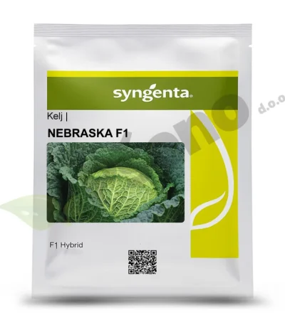 Kelj NEBRASKA F1