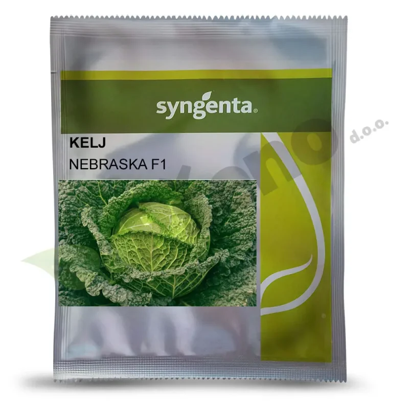 Kelj NEBRASKA F1