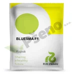 Kupus BLUESMA F1