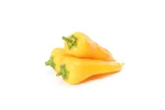 Paprika GOLDISA F1
