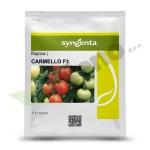 Rajcica CARMELLO F1