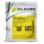 Rajcica CELSETEEN F1