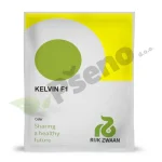 Celer KELVIN F1