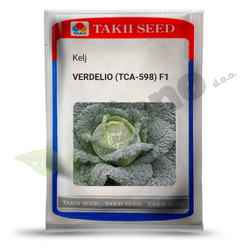 Kelj VERDELIO (TCA-598) F1_Takii_Pseno