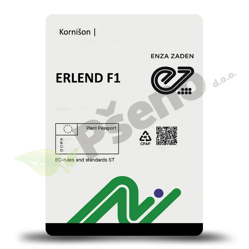 Kornison ERLEND F1_Enza Zaden_Pseno