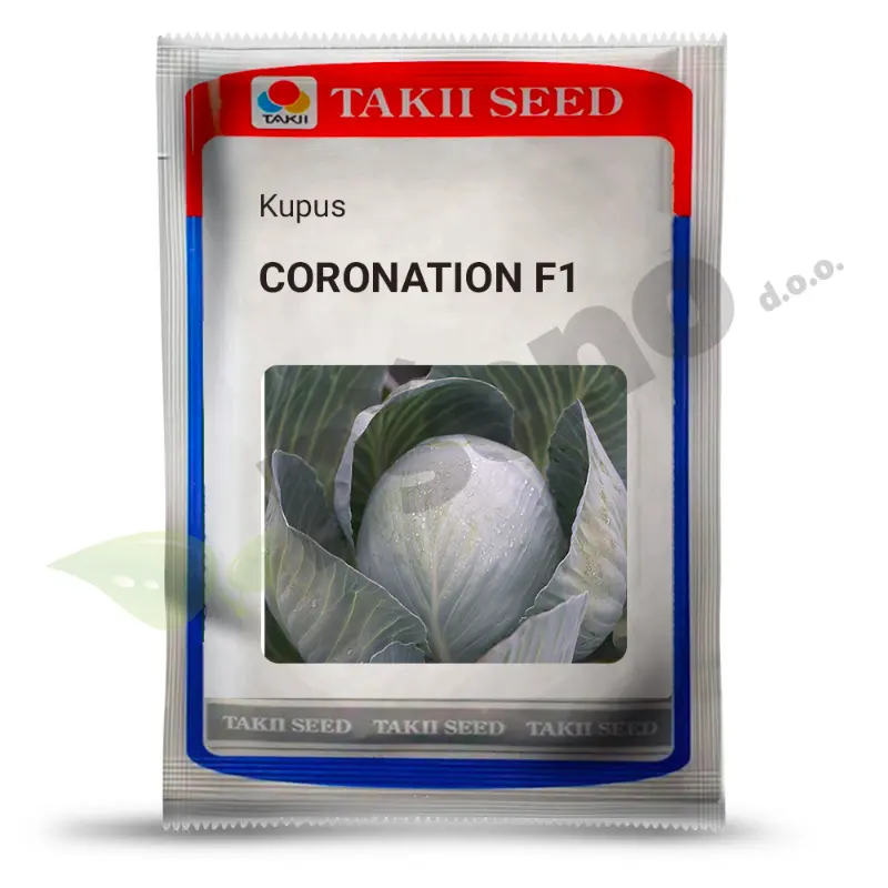 Kupus CORONATION F1_Takii_Pseno