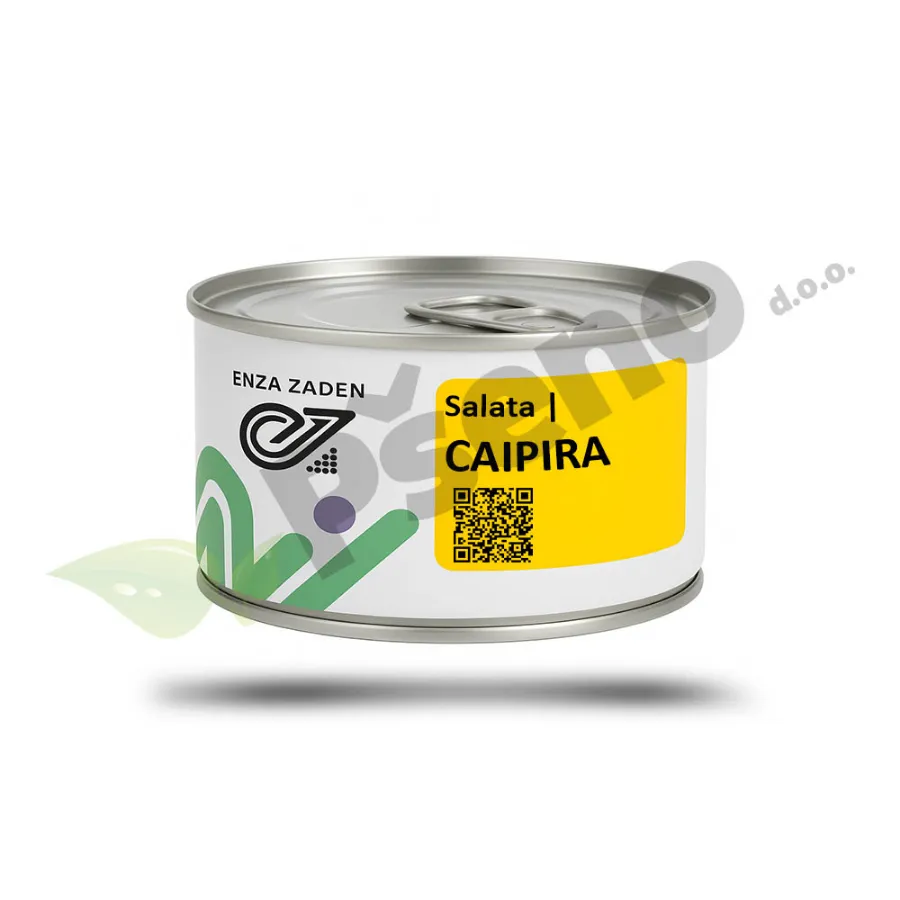 Salata CAIPIRA_Enza Zaden_Pseno