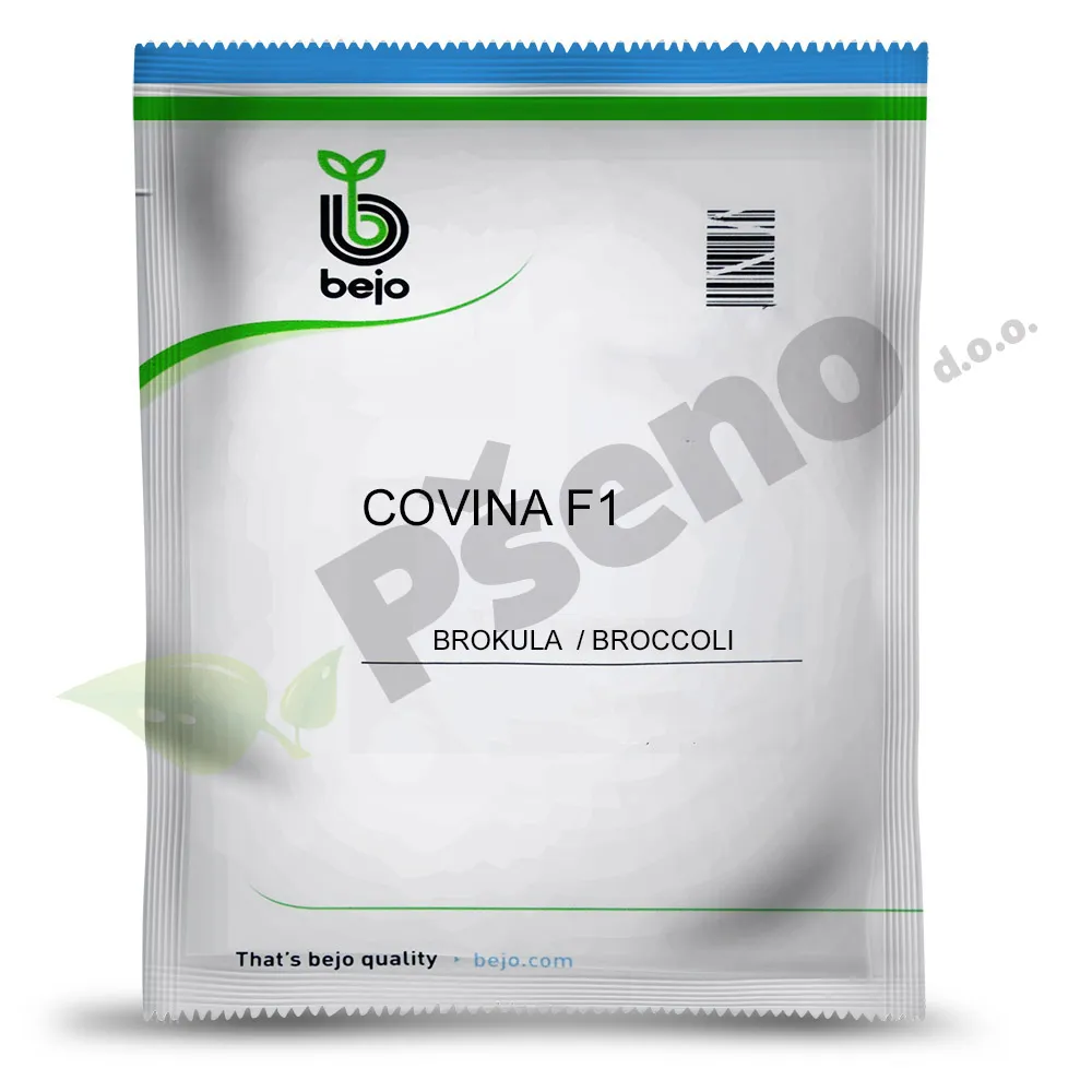 Brokula COVINA F1 Bejo Zaden_Pseno