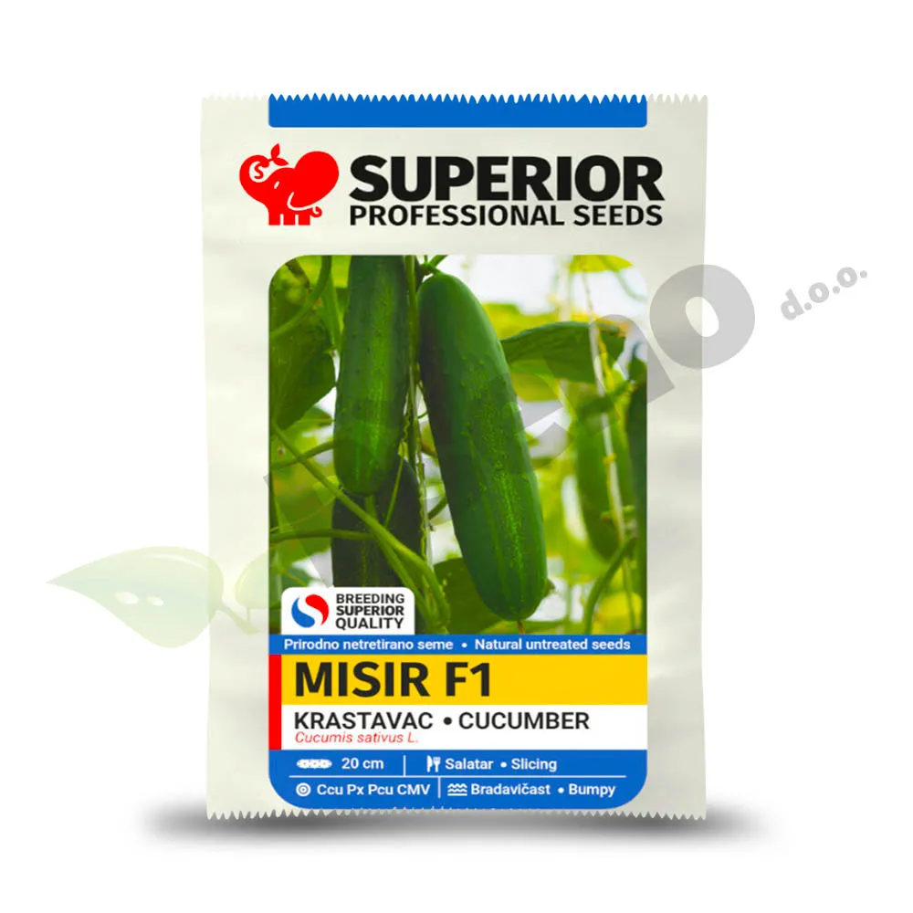 Krastavac MISIR F1 Superior Seeds_Pseno
