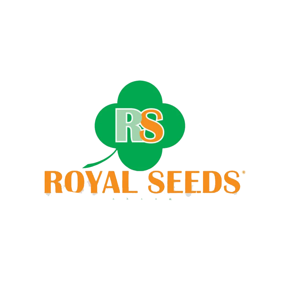 Royal-Seeds