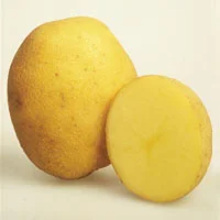 Sjemenski krumpir MARABEL