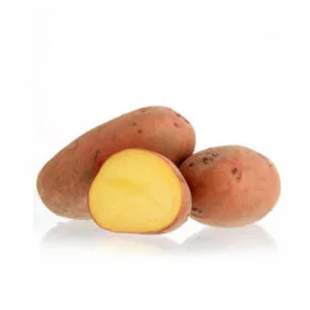 Sjemenski krumpir LAURA